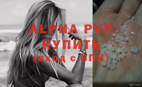 молекула духа Волосово