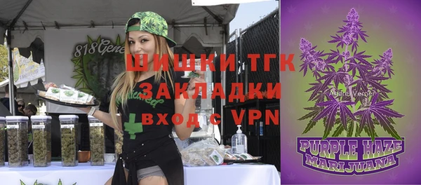 ГАЛЛЮЦИНОГЕННЫЕ ГРИБЫ Володарск