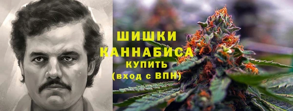 молекула духа Волосово