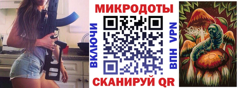 Псилоцибиновые грибы Psilocybine cubensis Каменка
